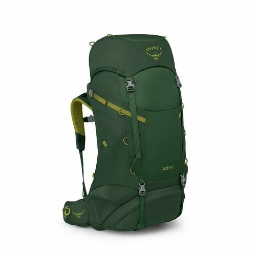Green Canopy/Matcha Green