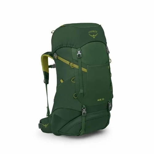 Green Canopy/Matcha Green