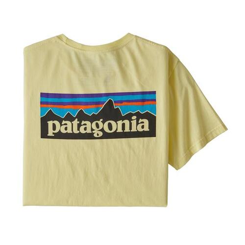patagonia tee shirt mens