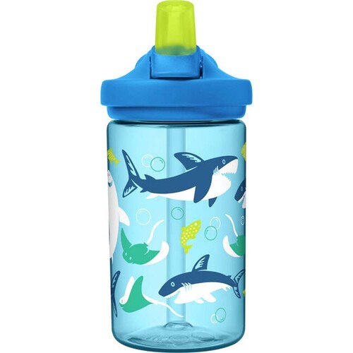 Sharks And Rays