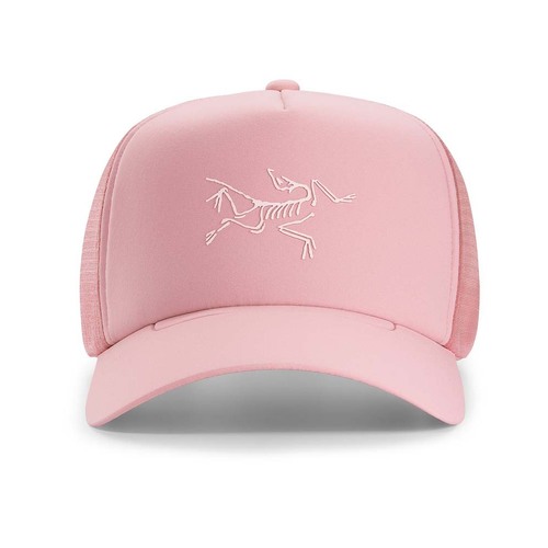 Arcteryx hotsell mens hat