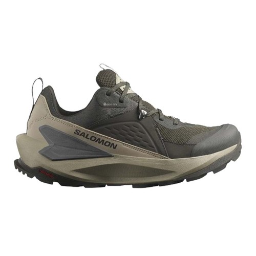 Salomon gtx mens walking shoes 2025