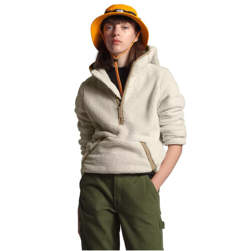 the north face tan hoodie