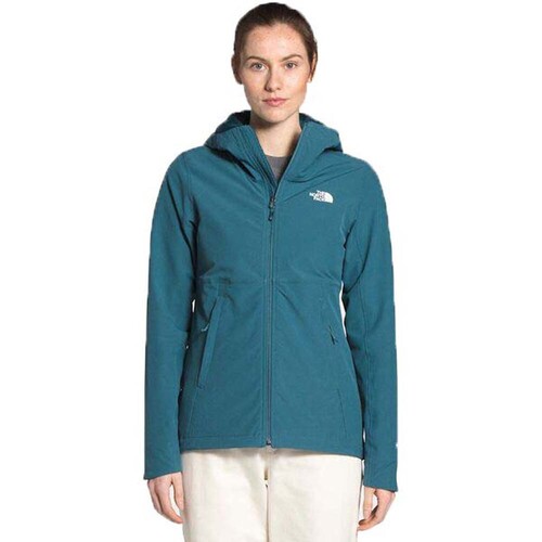 north face shelbe raschel large