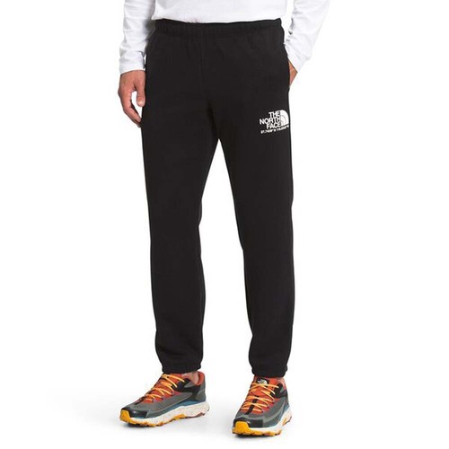 The North Face Coordinates Mens Pant