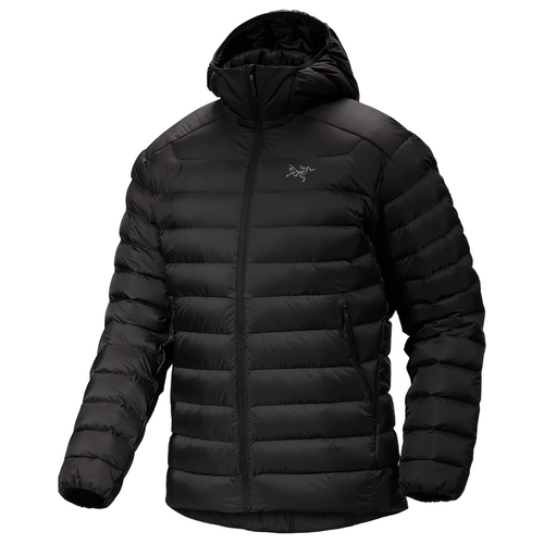 Arcteryx cerium lt jacket men's sales