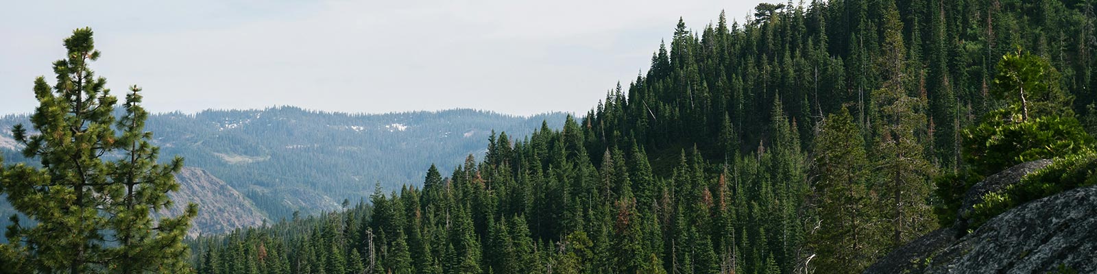 Western States 100: Conquering the Ultimate Endurance Challenge