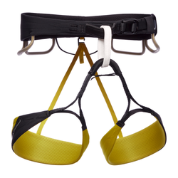 Climbing Harness