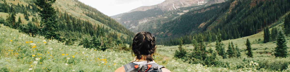 Take a Walk In The Wild