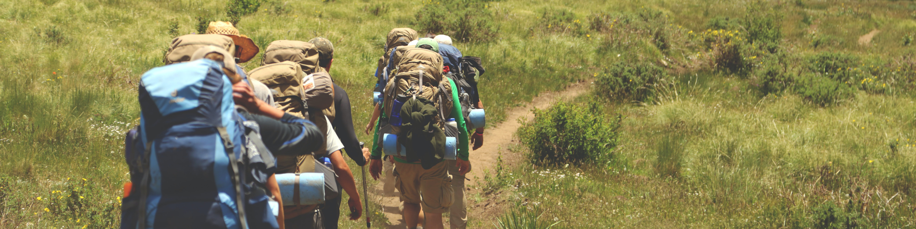 5 Must Do Hikes Near Brisbane