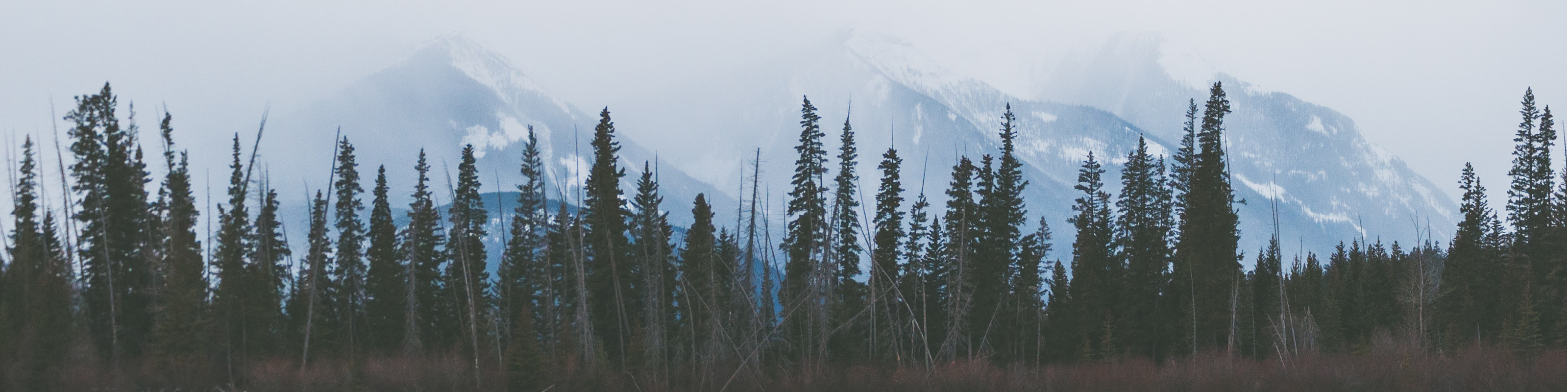 What to Include in an Overnight Hiking First Aid Kit