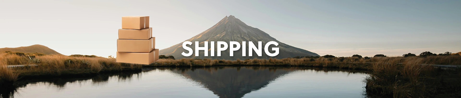 Shipping