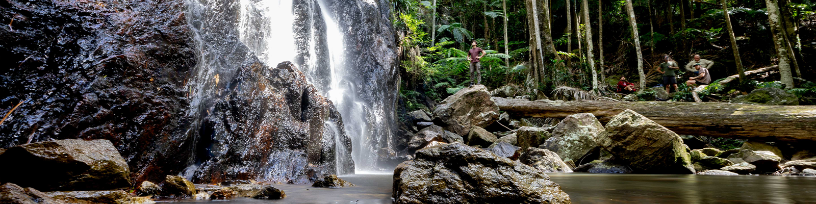 Best Hiking Backpacks for Summer