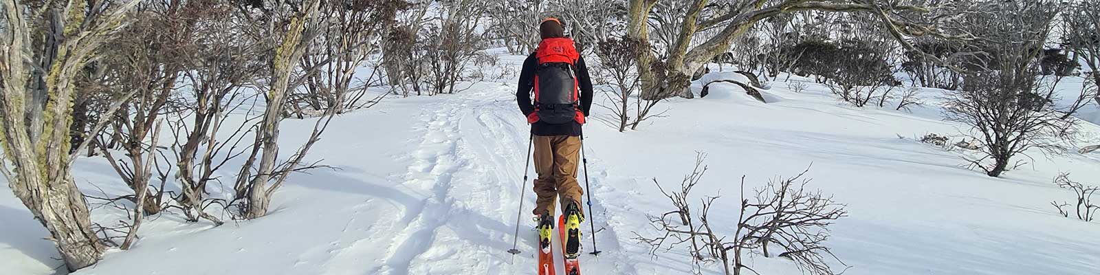 Backcountry Gear Essentials