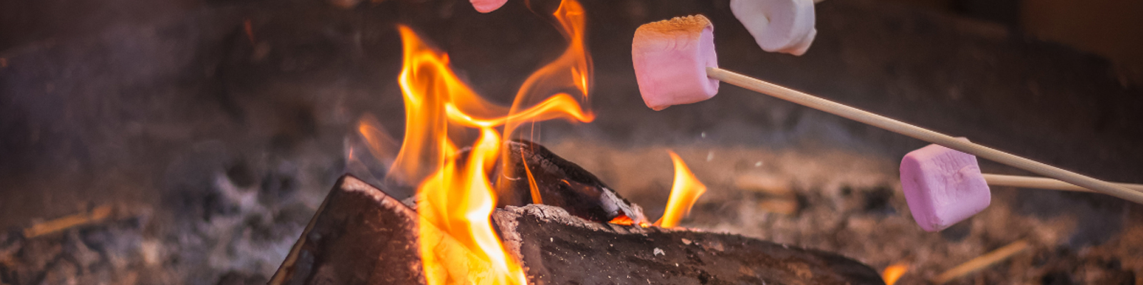 Our Top 5 Campfire Activities