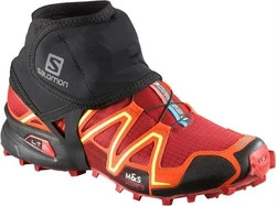 Salomon