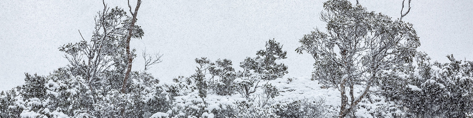 10 Best Things To Do This Winter in Tasmania