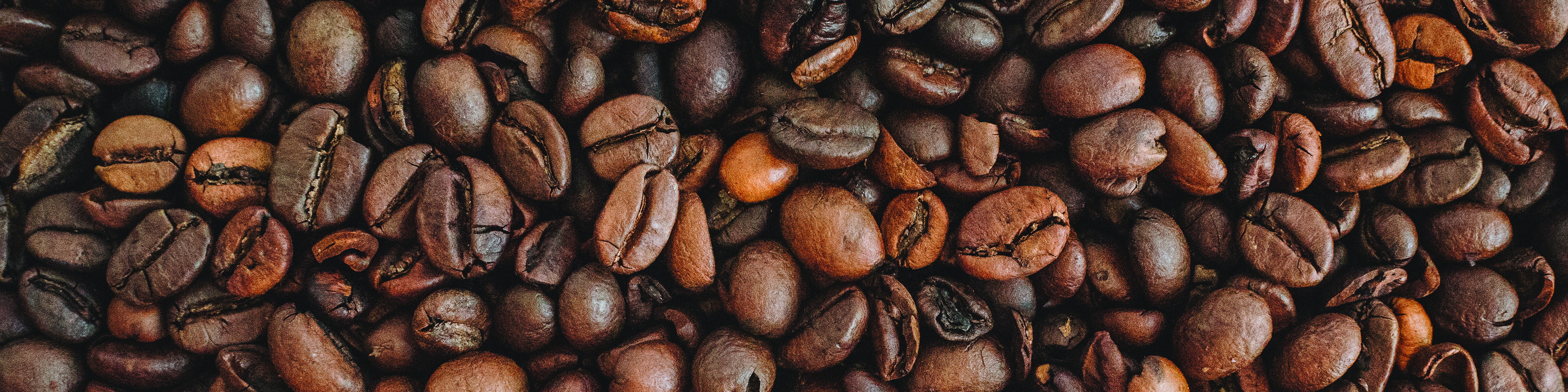 Can Camp Coffee Beat Home Brewed? FIELD TESTED: Wacaco Mini Press