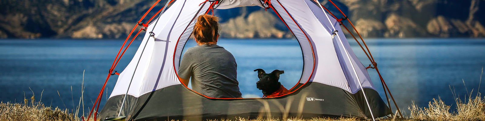 Pet-Friendly Camping: Adventures with Your Furry Friends