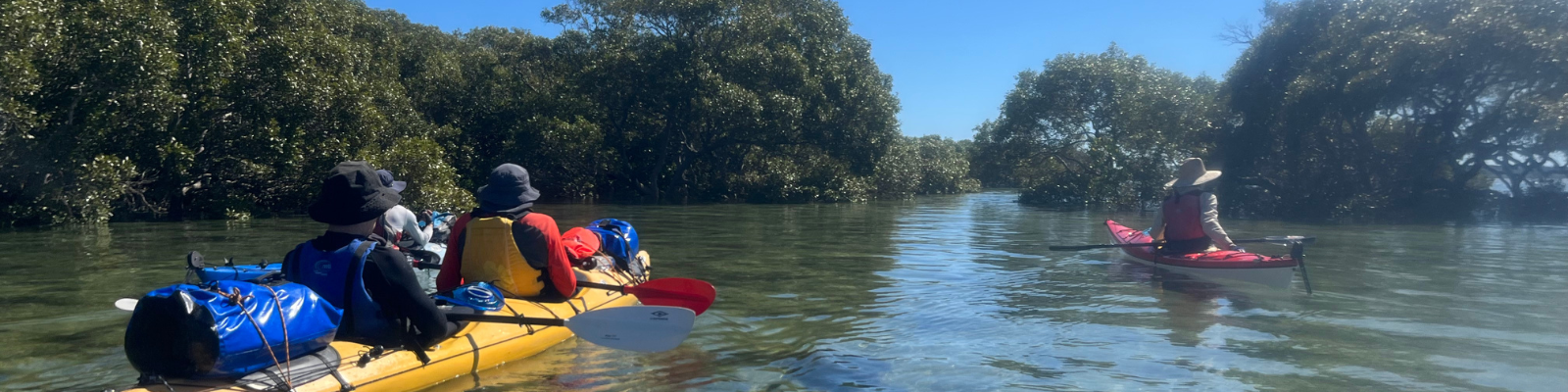 What it's like to Kayak the Moreton Bay Wilderness