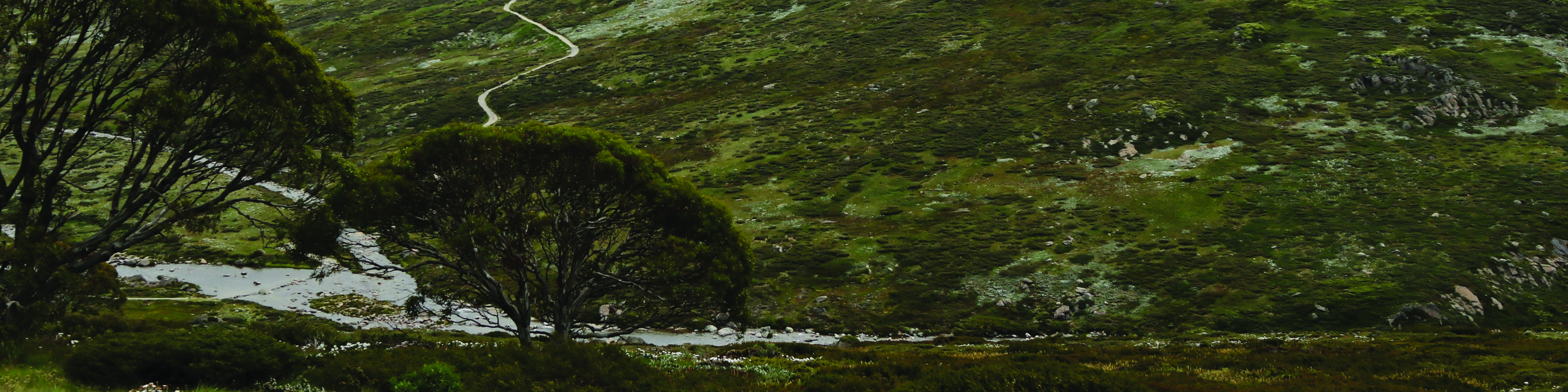Our Best GPS Trackers & EPIRB Devices for Remote Adventures