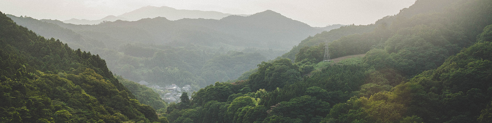 An Ancient Adventure: Walking the 88 Temple Pilgrimage in Japan