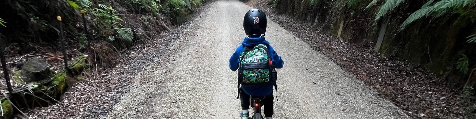Bikepacking With Kids: Northern Rivers Rail Trail Overnighter
