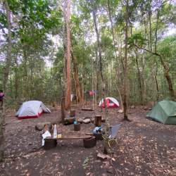 Multi-Day Hiking in Australia for Beginners: The Ultimate Guide