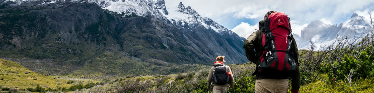 How to Stay Connected in the Wild